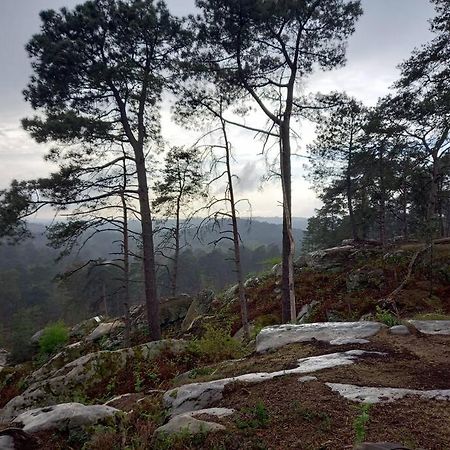 Gite Les Petites Bruyeres Veneux-les-Sablons Extérieur photo
