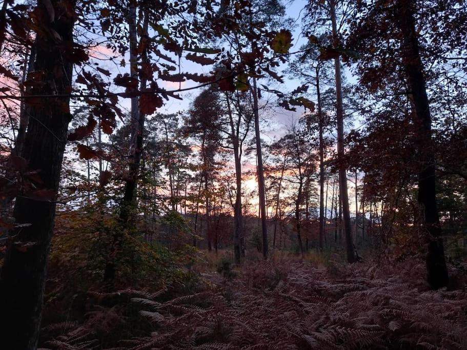 Gite Les Petites Bruyeres Veneux-les-Sablons Extérieur photo